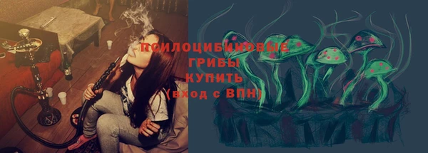 jwh Карпинск