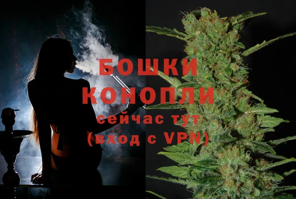 jwh Карпинск