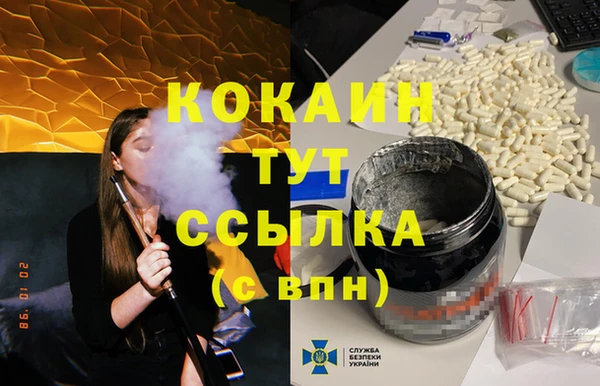 прущие грибы Карталы