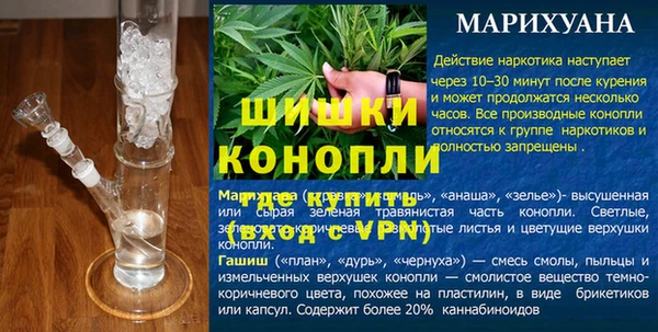 прущие грибы Карталы