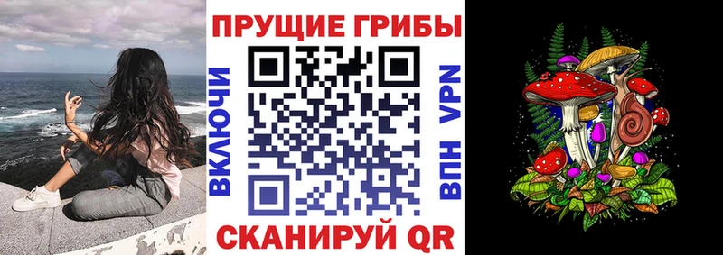 Псилоцибиновые грибы мицелий  Купить  Петрозаводск 
